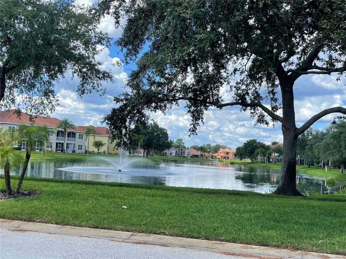 21127 San Pablo Dr., Land O Lakes, FL 34637