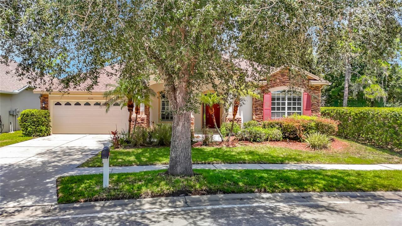 7220 Night Heron Dr., Land O Lakes, FL 34637