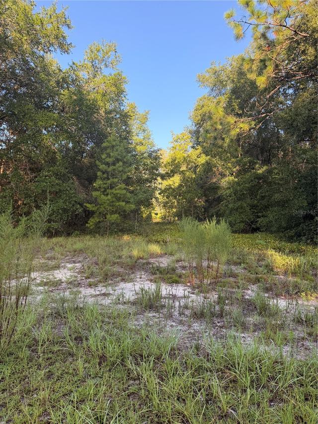 115 Orange Tree Ct., Melrose, FL 32666