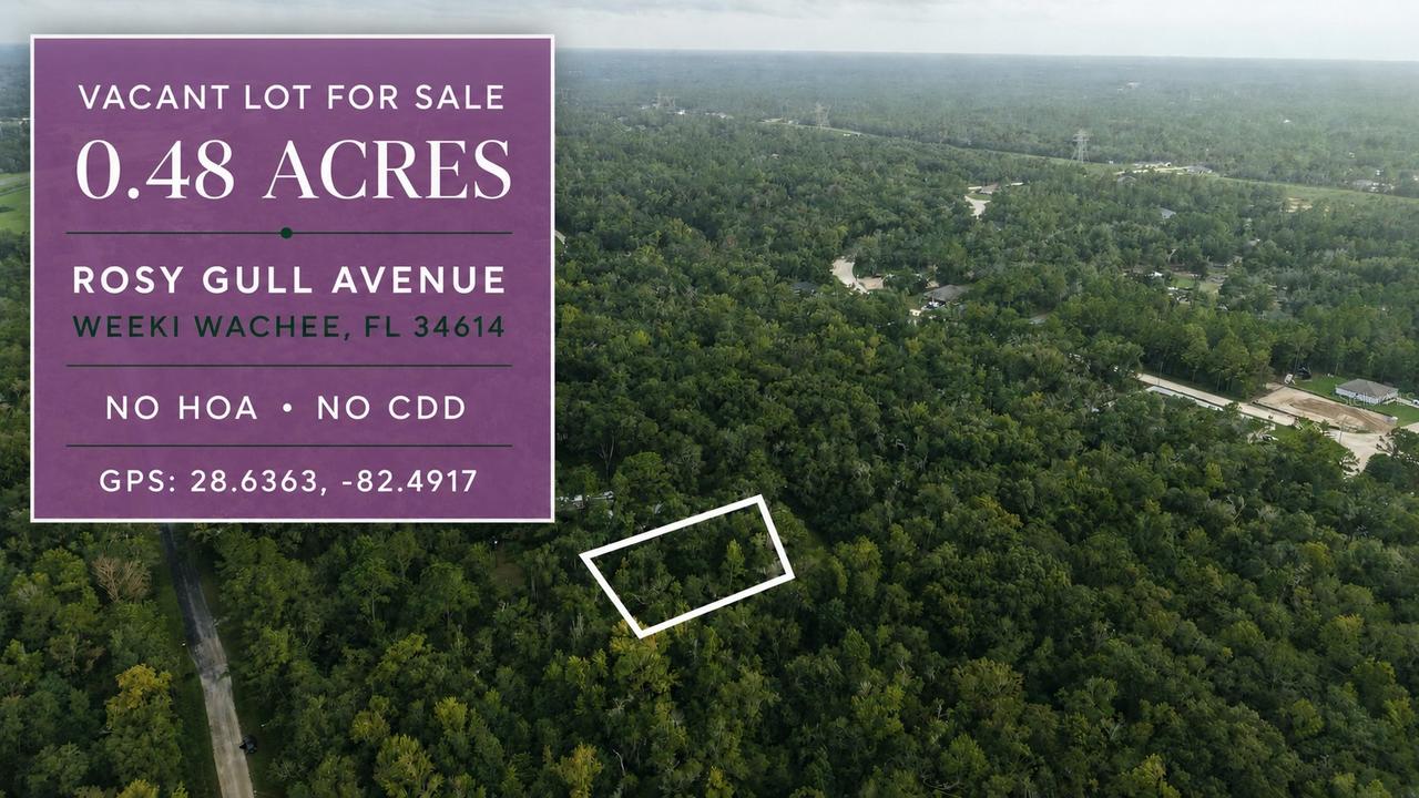 14186 Rosy Gull Ave., Weeki Wachee, FL 34614