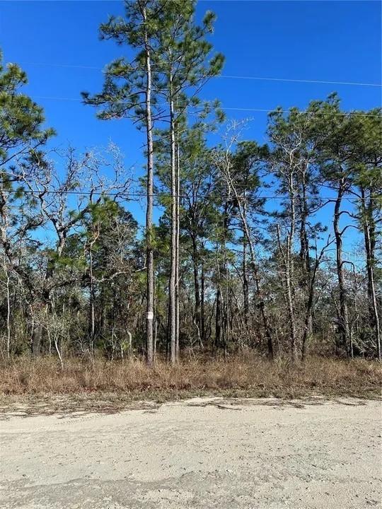 11117 Seattle Wren Ave., Weeki Wachee, FL 34614