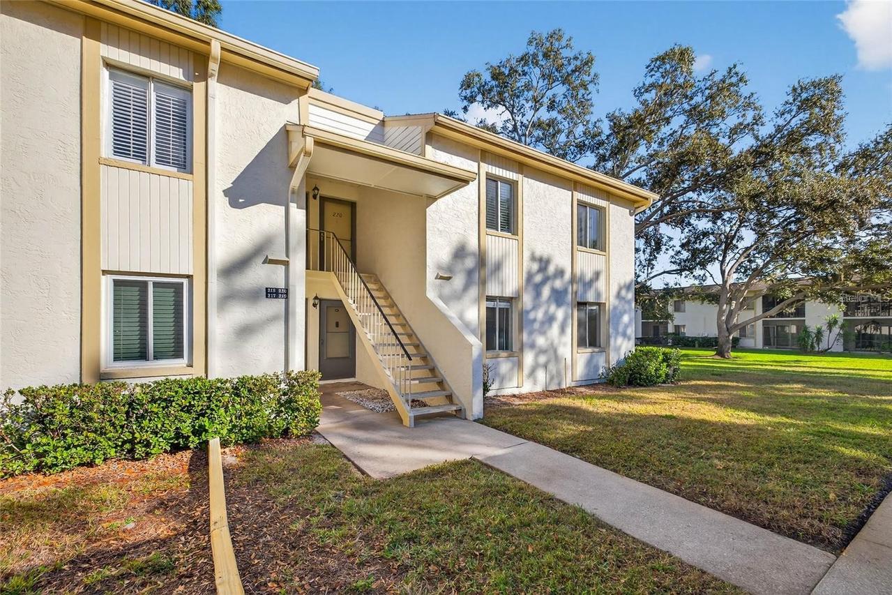 219 Palmetto Ct., Oldsmar, FL 34677