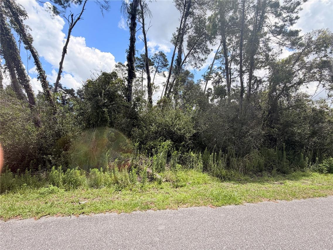 7052 Oregon Chickadee Rd., Weeki Wachee, FL 34613