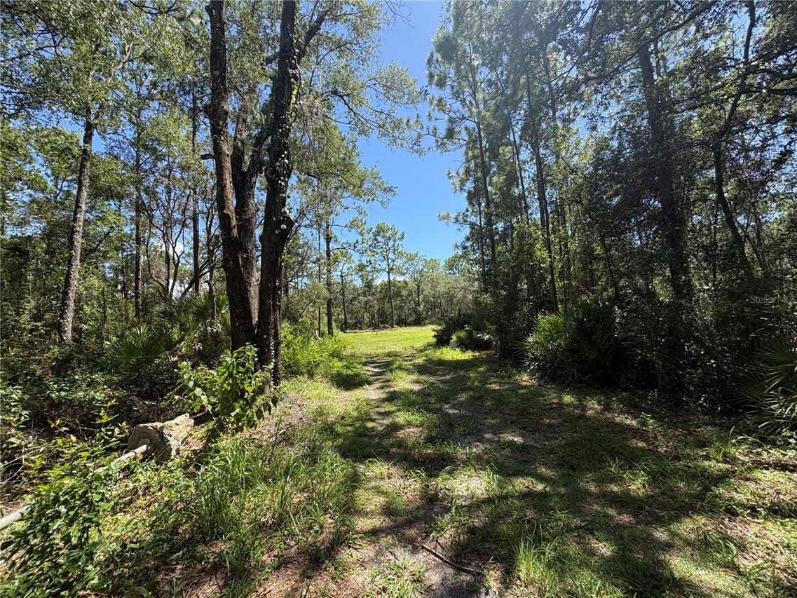 394 N Florene Point, Crystal River, FL 34429