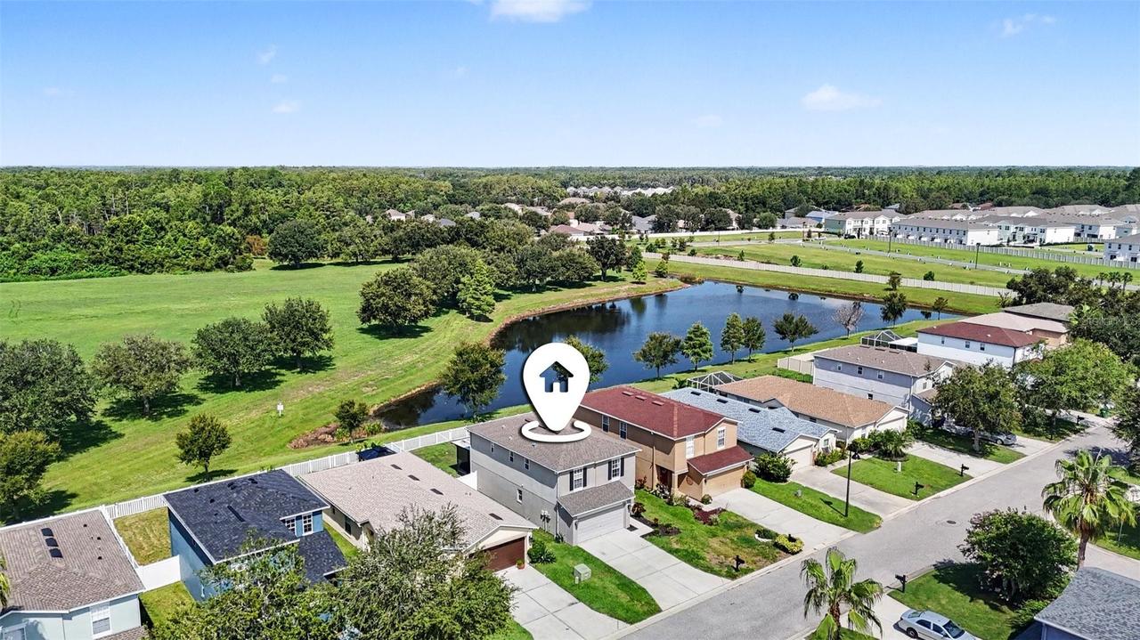 3419 Cardinal Feather Dr., Land O Lakes, FL 34638