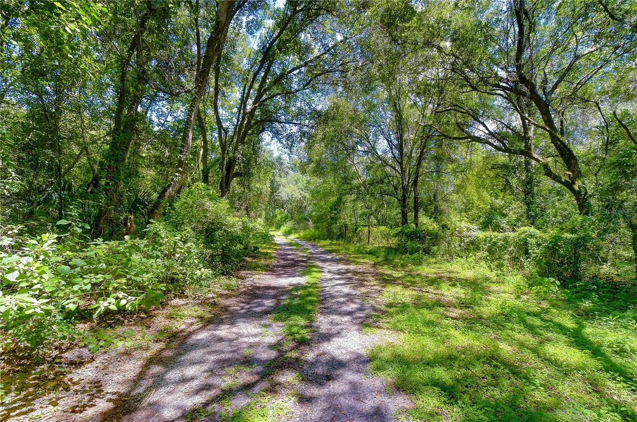 3801 Pate Rd., Zephyrhills, FL 33541