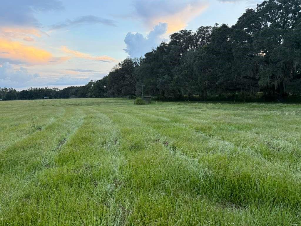 27900 Bayhead Rd., Dade City, FL 33523