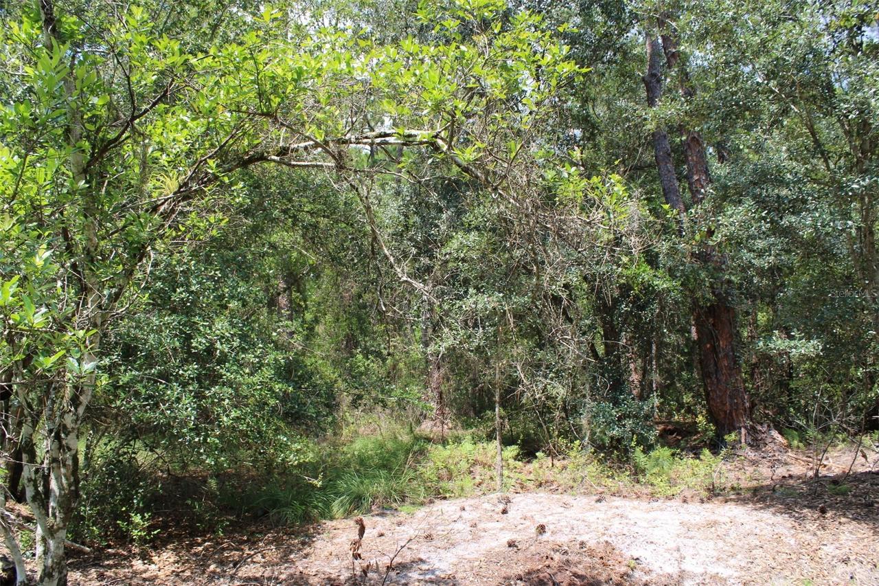 1217 Iris Ave., Sebring, FL 33875