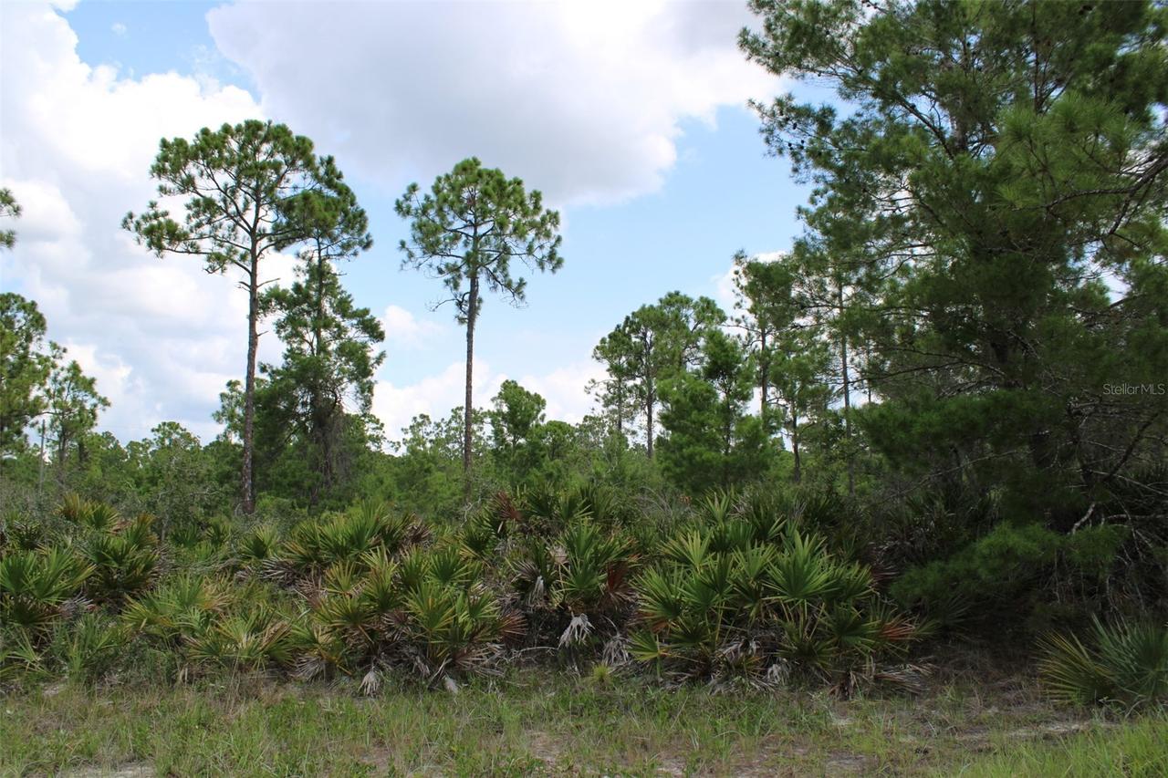 1830 Oleaster Ave., Sebring, FL 33875