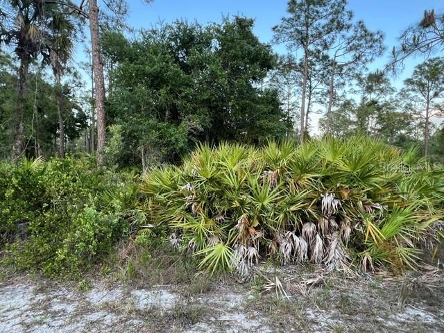 13352 Rodin Dr., Punta Gorda, FL 33955
