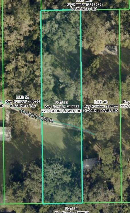 7289 Cornflower Rd., Brooksville, FL 34601