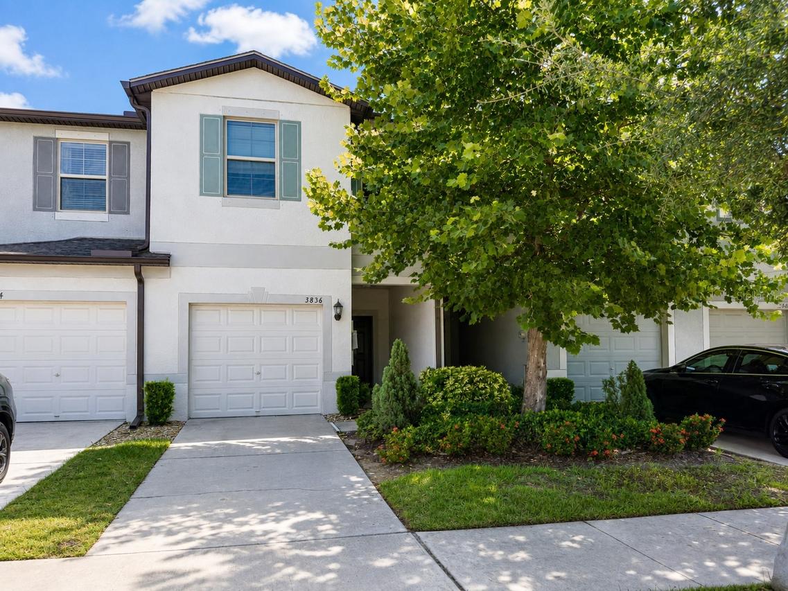 3836 Cat Mint St., Tampa, FL 33619