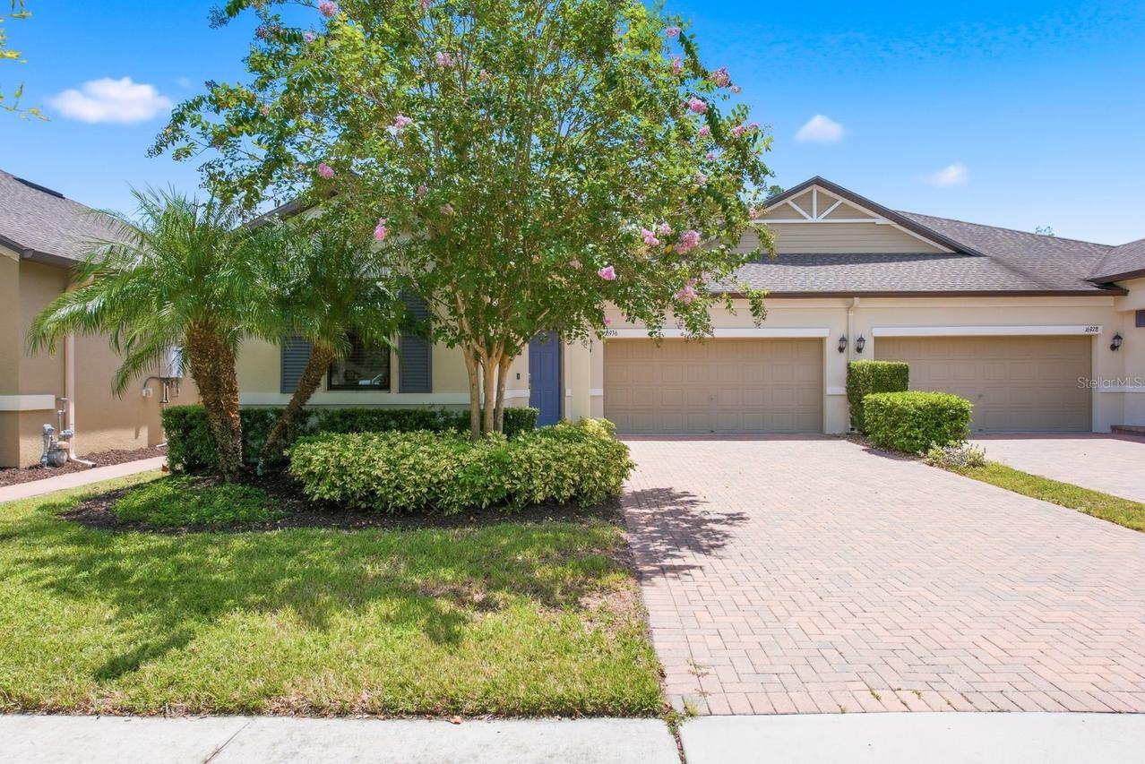 16936 Balance Cove, Land O Lakes, FL 34638