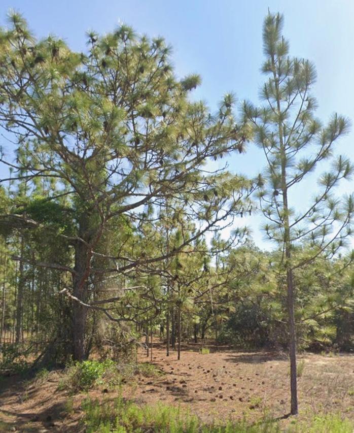 TBD SW Floral Ct., Dunnellon, FL 34431