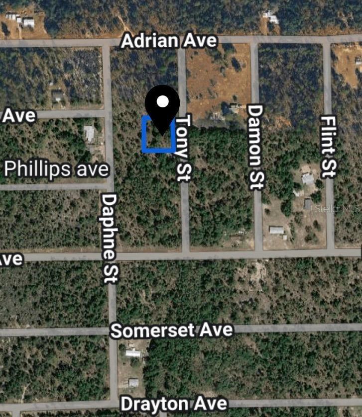 Toby St., Interlachen, FL 32148