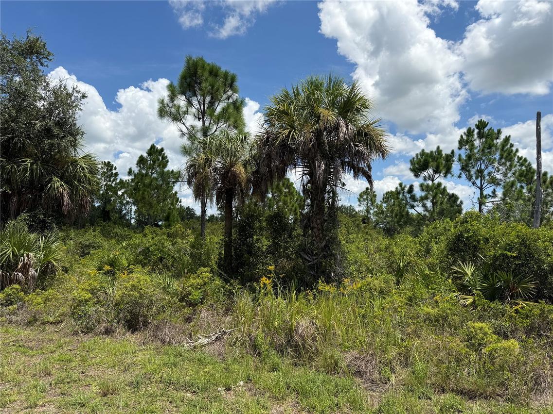 356 Lakewood Ln., Port Charlotte, FL 33953