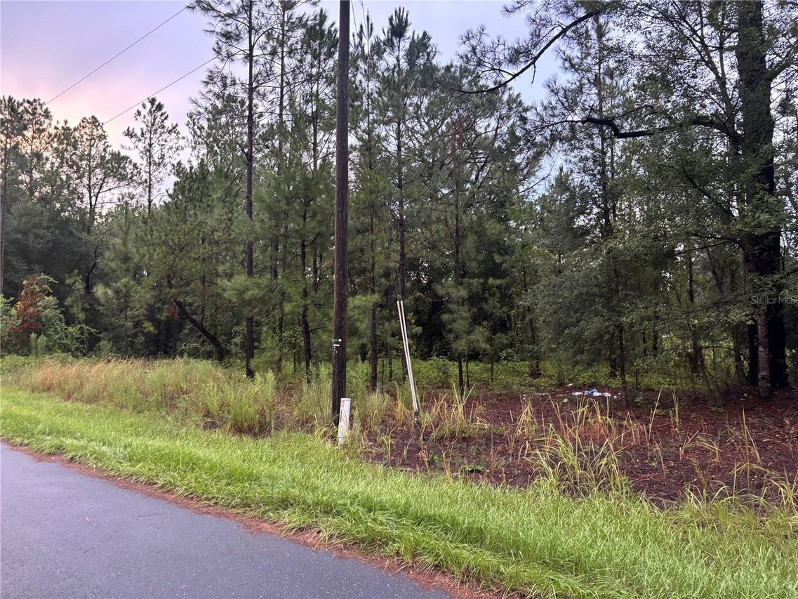 Blk 1122 Lot 13, Ocala, FL 34472