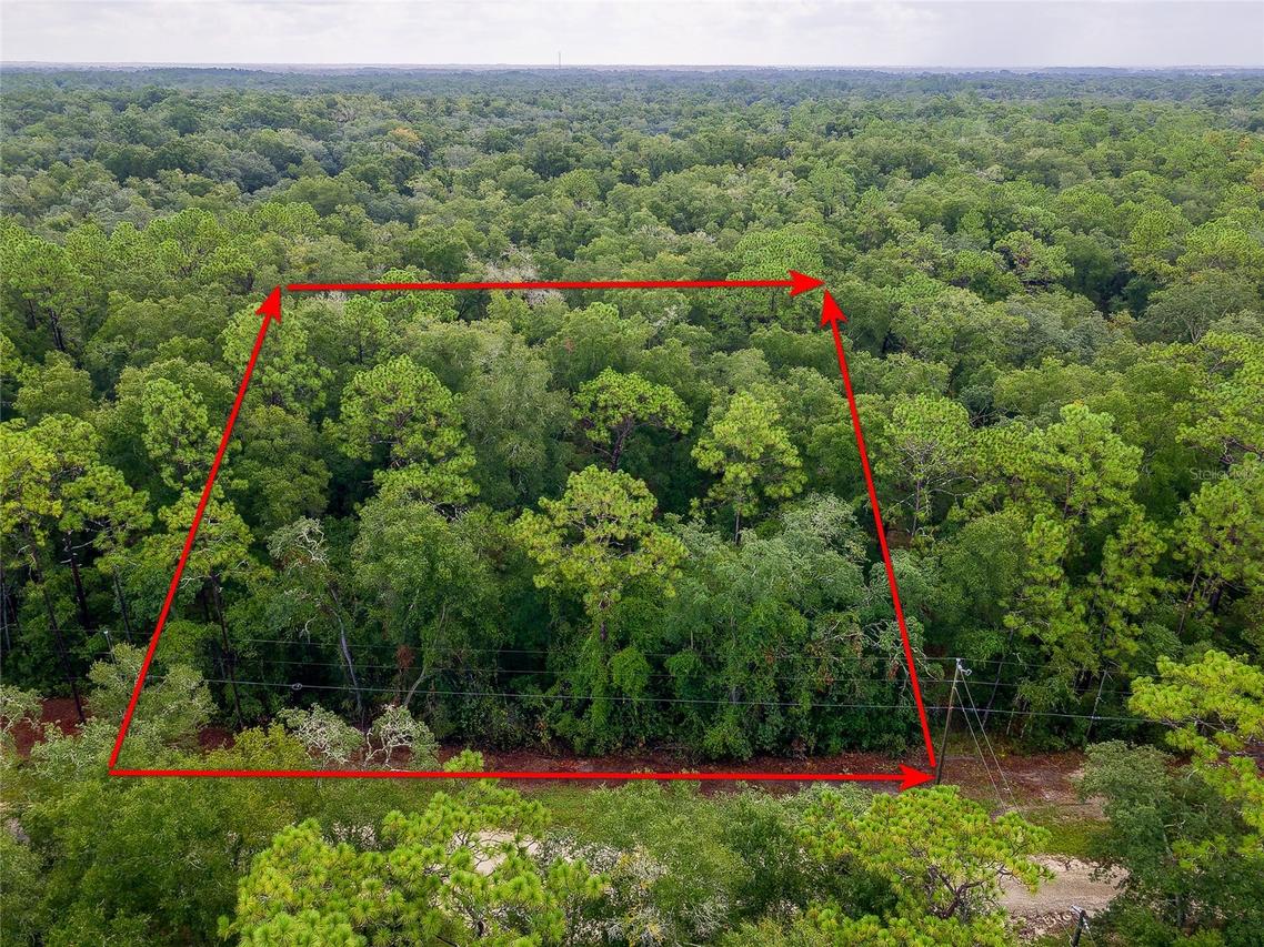 6342 Karwich Ave., Webster, FL 33597