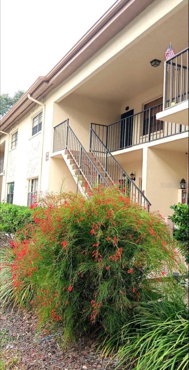 1702 Seascape Cir. #203, Tarpon Springs, FL 34689