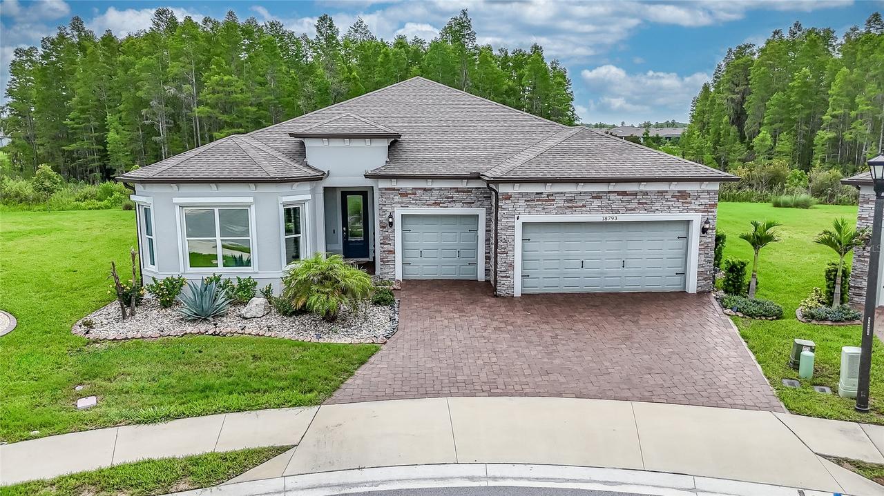 18793 Horizon View Point, Land O Lakes, FL 34638