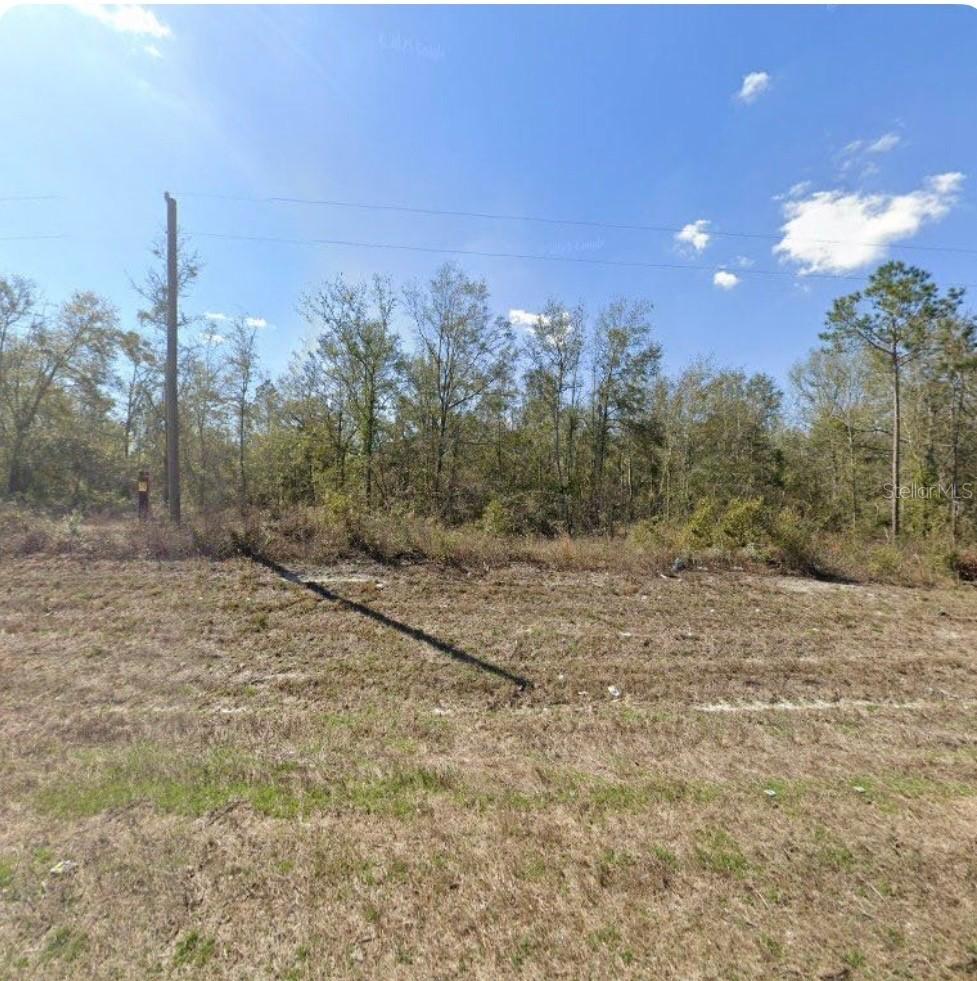 County Road 49, O'brien, FL 32071