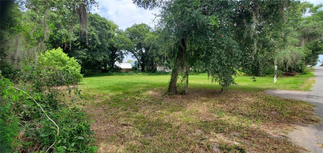 206 E Pine Ave., Mount Dora, FL 32757