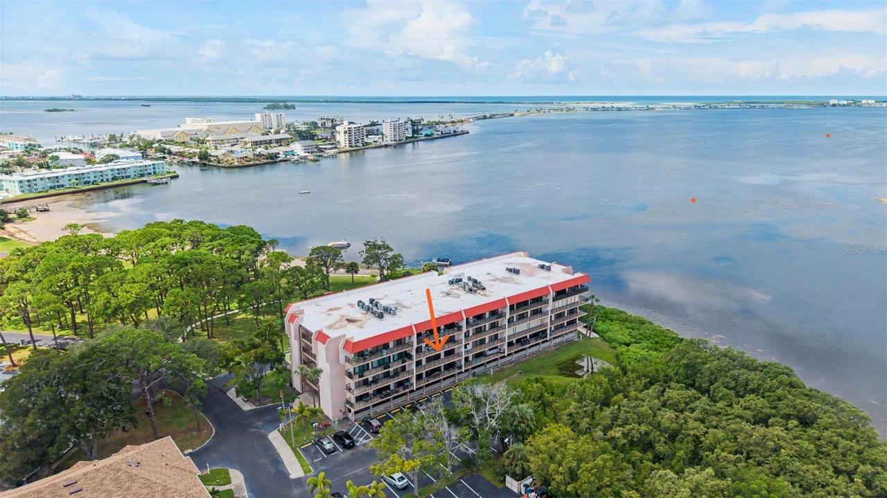 2700 Bayshore Blvd. #11202, Dunedin, FL 34698