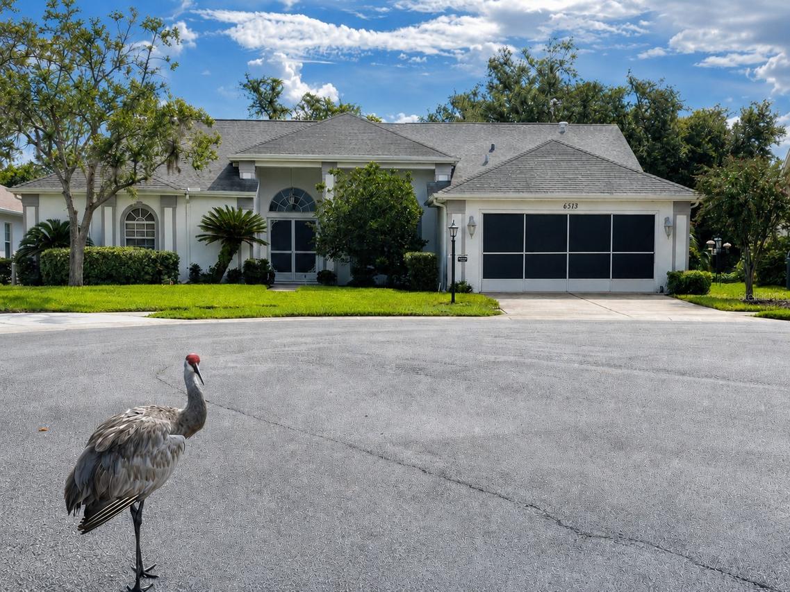 6513 Cardinal Crest Dr., New Port Richey, FL 34655