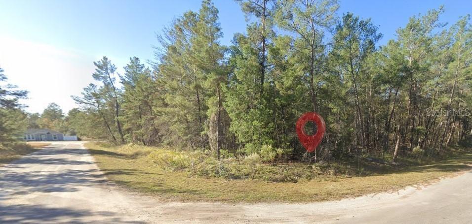 Fisher Run Ter., Ocklawaha, FL 32179