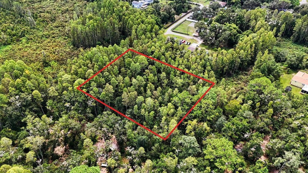 2nd Ave., Lutz, FL 33549