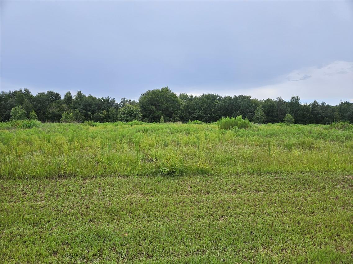 8881 Valerie Ct., Zephyrhills, FL 33540