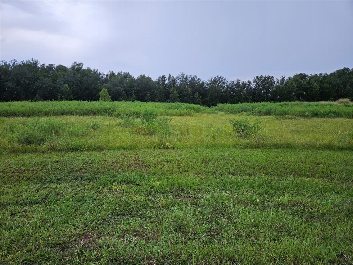 8801 Valerie Ct., Zephyrhills, FL 33540