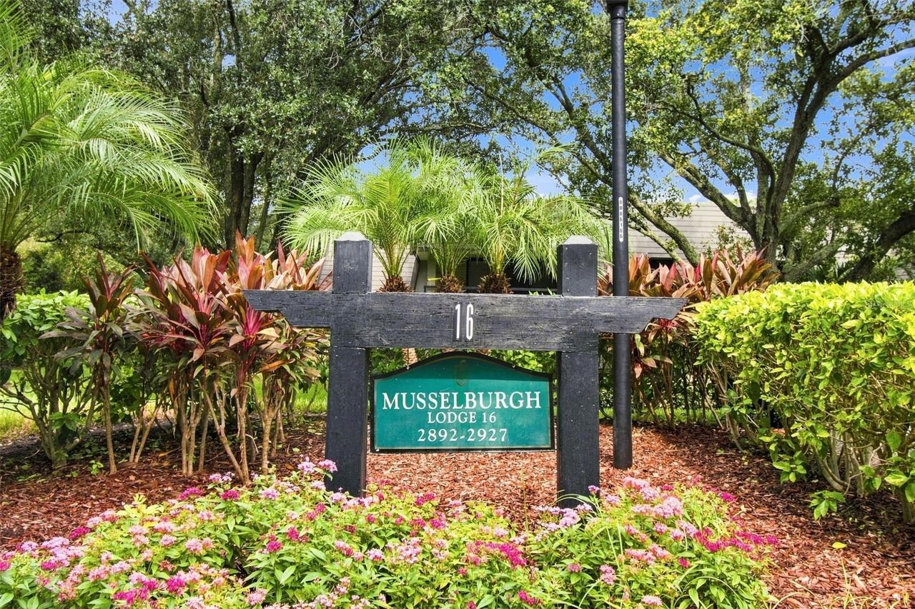 36750 Us Highway 19 #16204, Palm Harbor, FL 34684