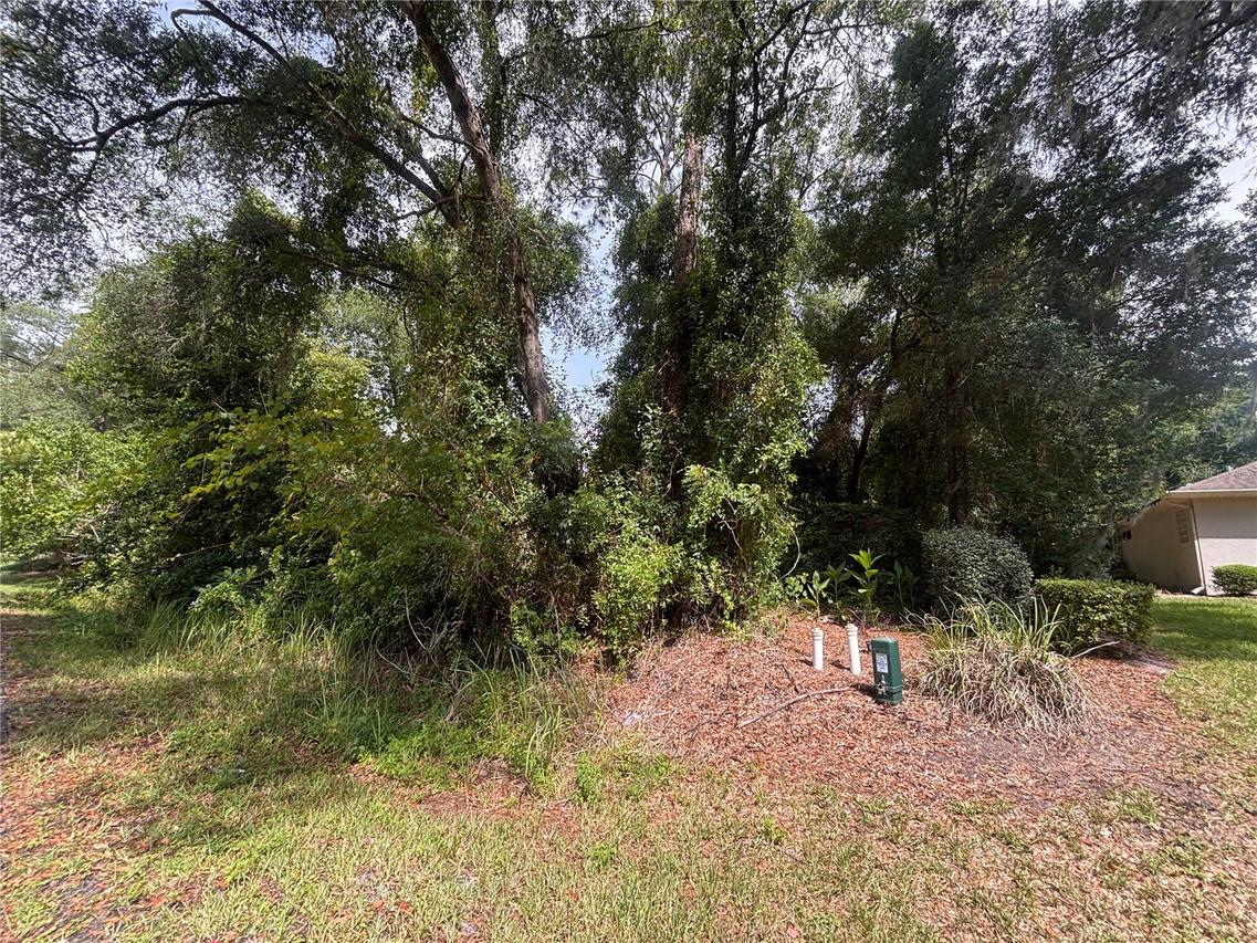00 SW 98th Loop, Dunnellon, FL 34432