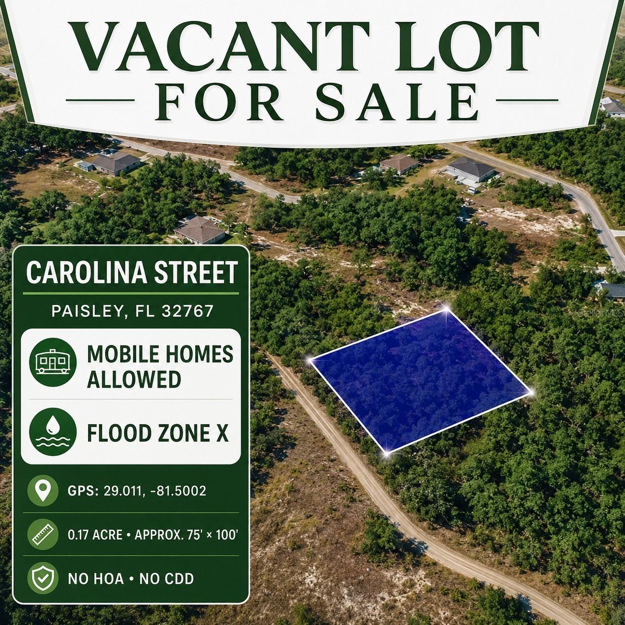 Carolina St., Paisley, FL 32767