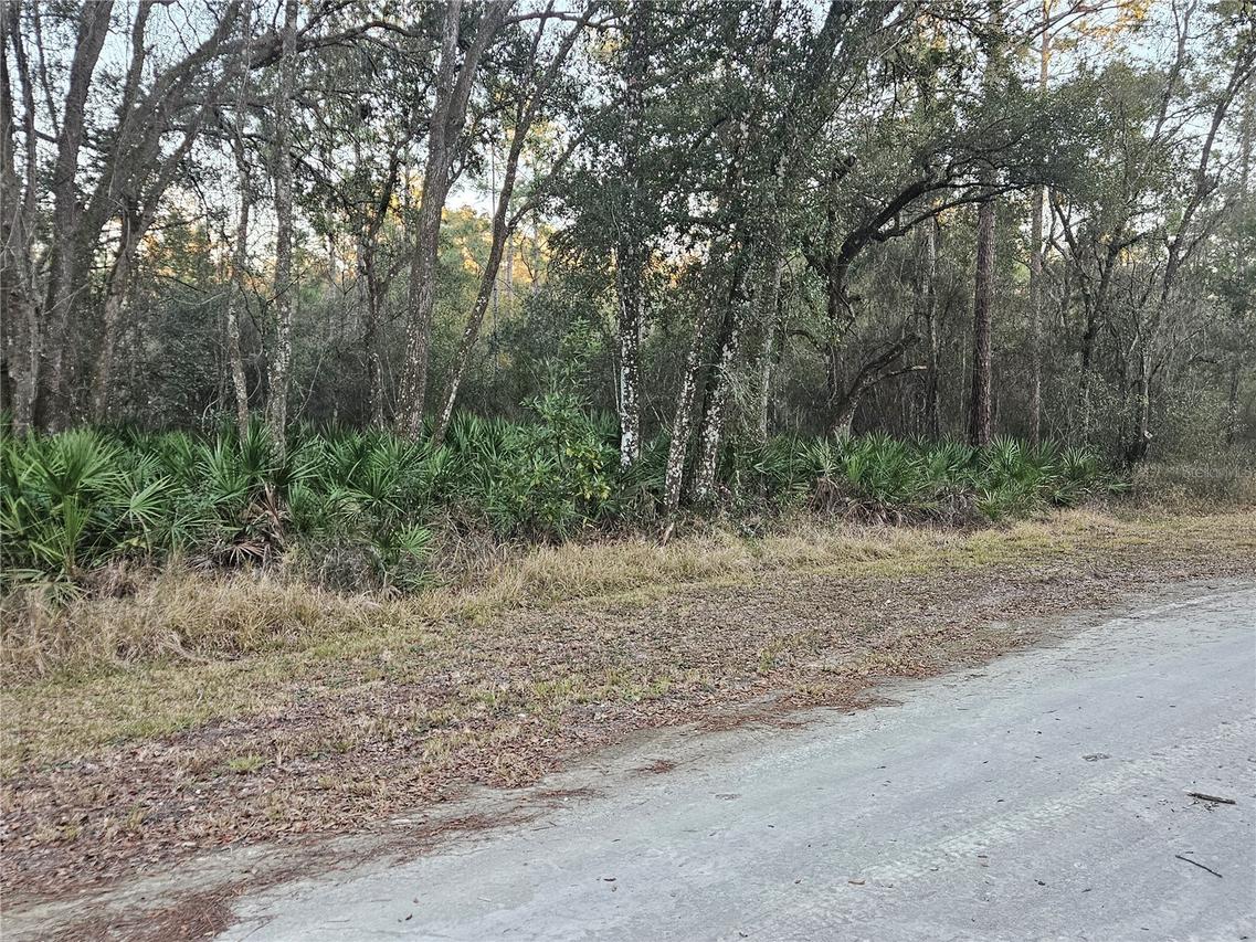 Rosehill Dr., Webster, FL 33597