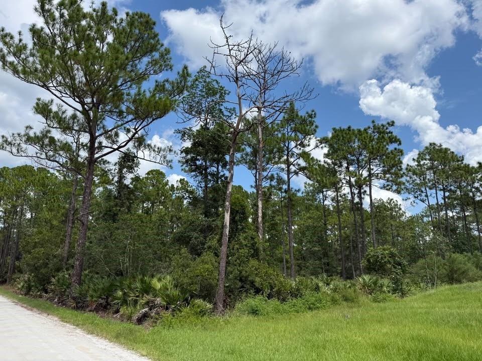 Unassigned East Pkwy., Deland, FL 32724