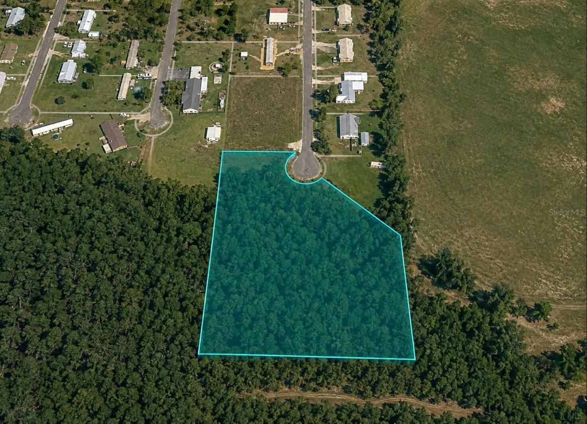 Unassigned Buckhead Dr., Grand Ridge, FL 32442