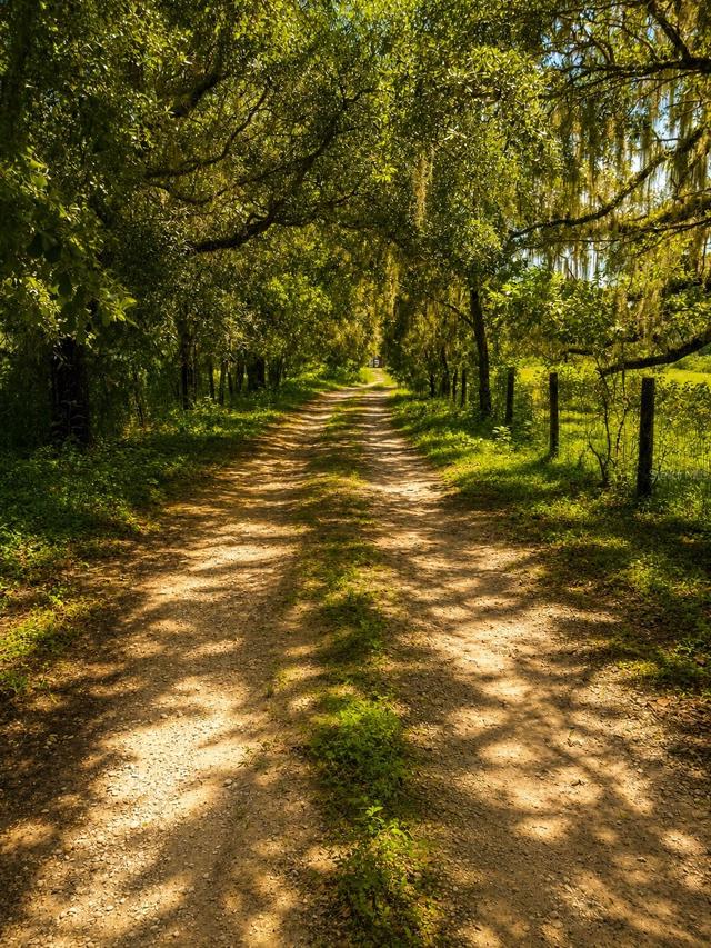 3230 Saturn Rd., Brooksville, FL 34604