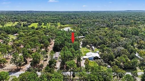 1393 S Candlenut Ave., Homosassa, FL 34448
