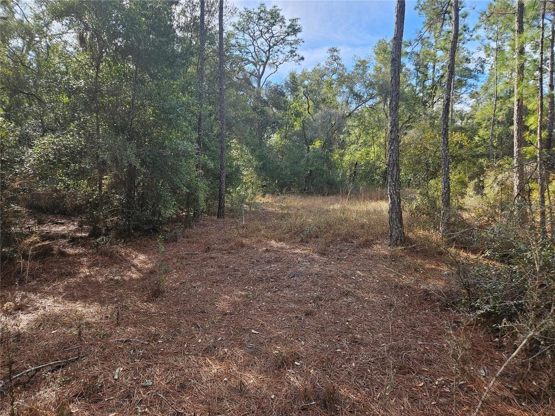 Lot 2 Rosehill Dr., Webster, FL 33597