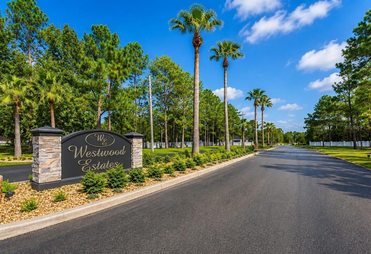 8541 Woodleaf Blvd., Wesley Chapel, FL 33544