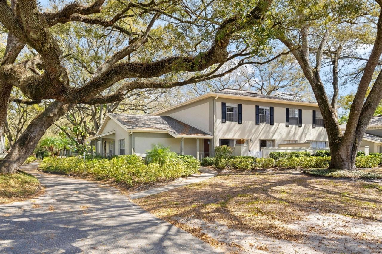 6305 Morningmist Ct., Temple Terrace, FL 33617