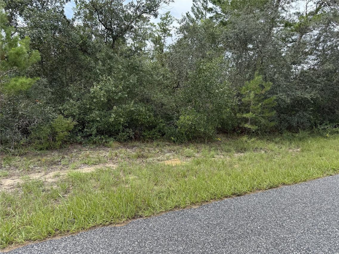 4282 W Thrush Dr., Citrus Springs, FL 34433