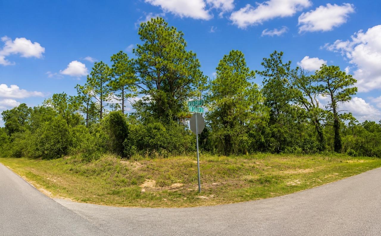 SW Sw Sea Cliff Ave Ave., Dunnellon, FL 34431
