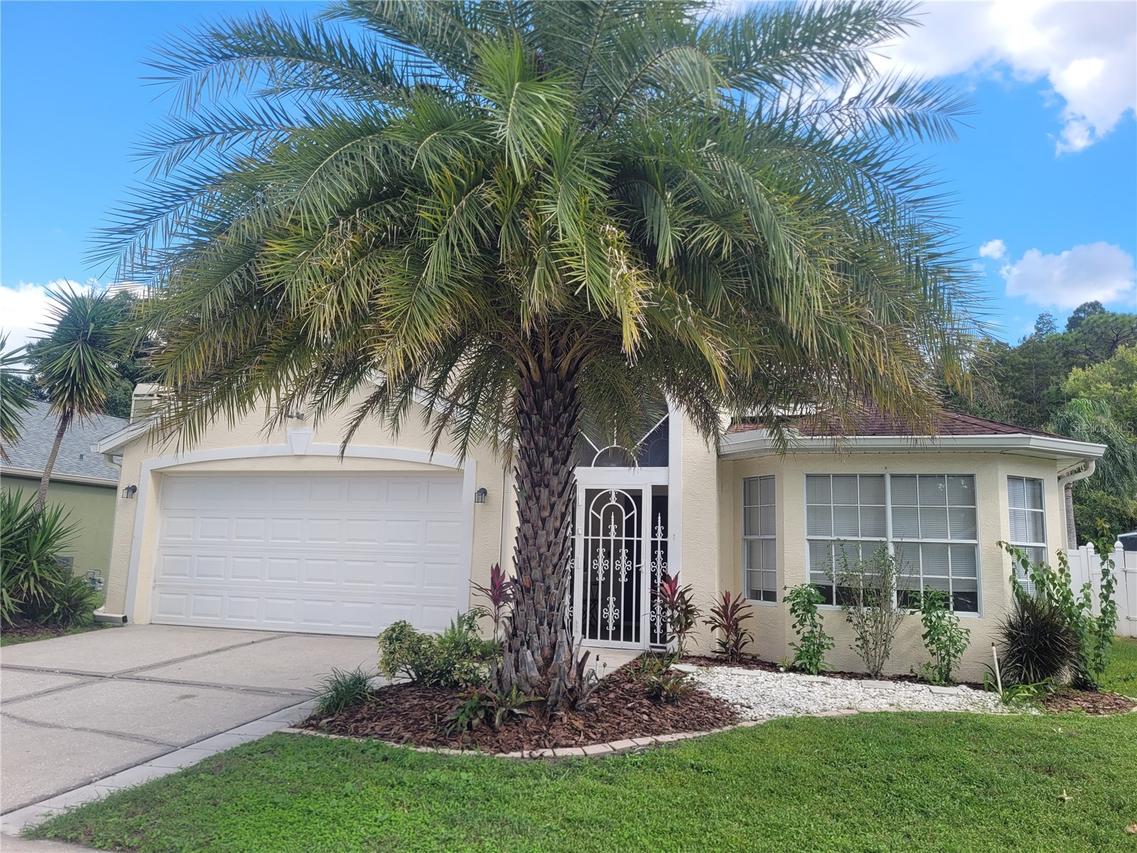 28935 Stormcloud Pass, Wesley Chapel, FL 33543