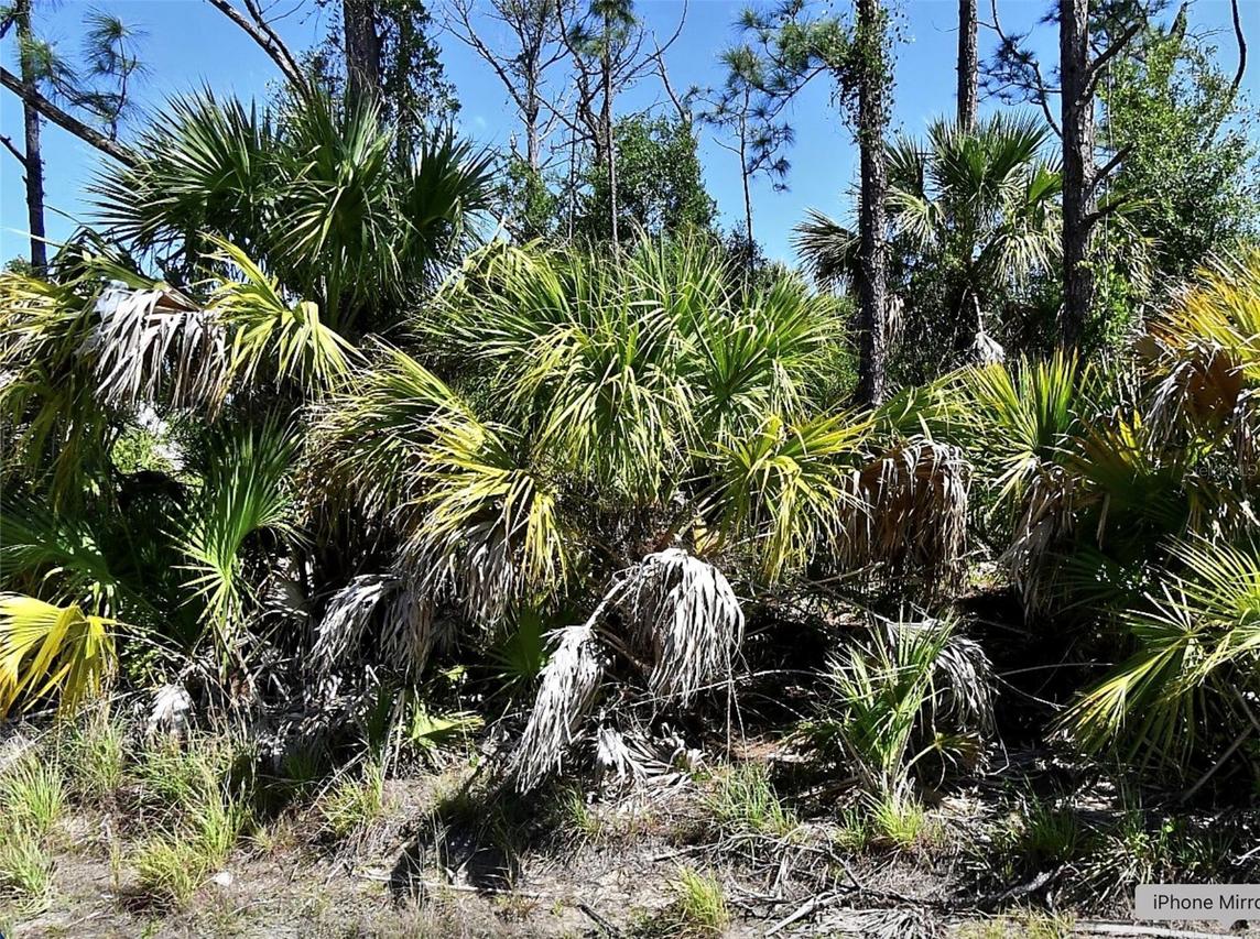 Guttenburg Rd., North Port, FL 34288