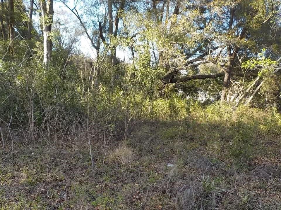 SE 139th Ln. #LOT 43, Summerfield, FL 34491