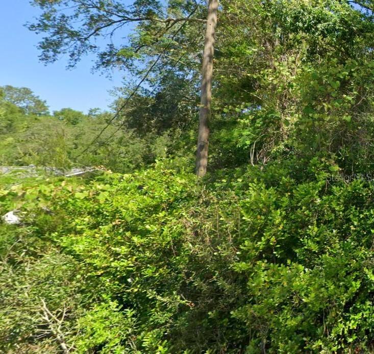 19667 Flamingo Dr., Dunnellon, FL 34431