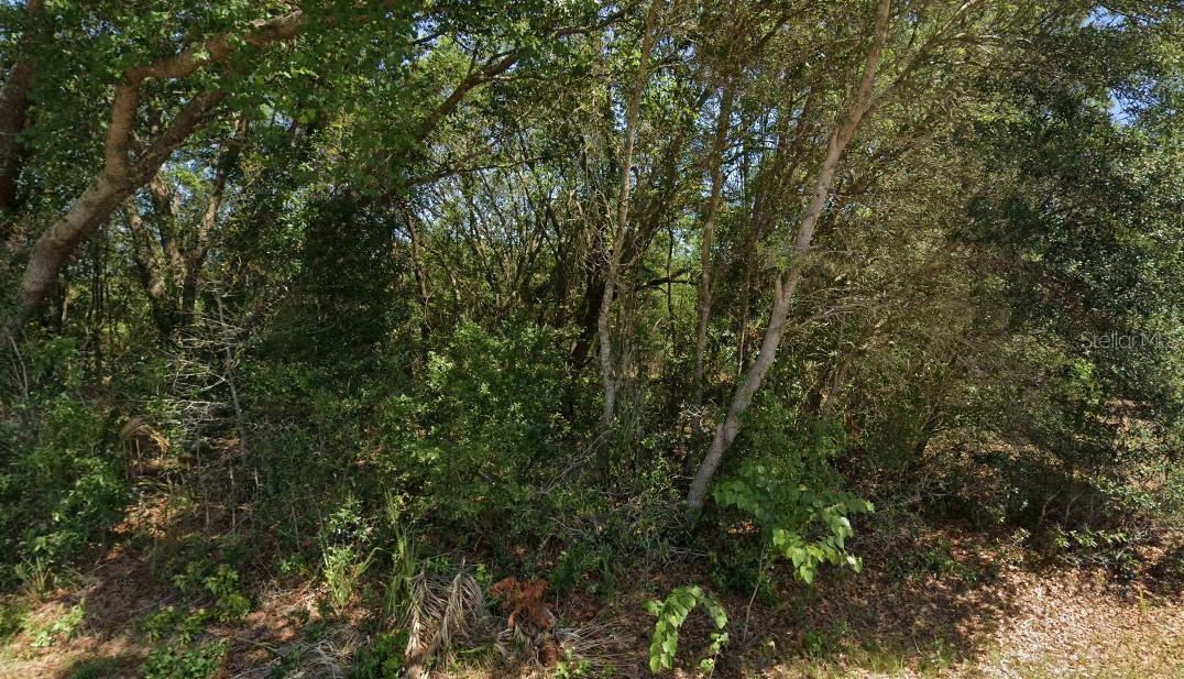 19901 Flamingo Dr., Dunnellon, FL 34431
